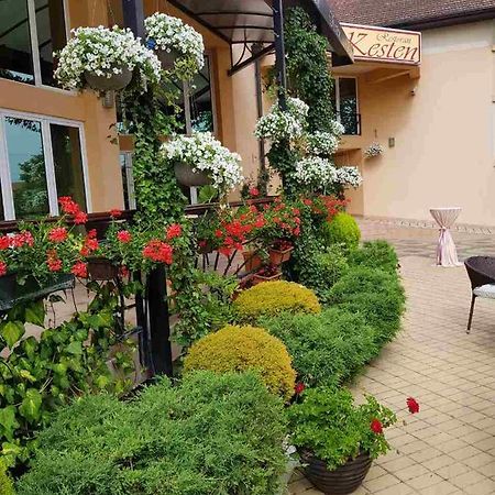 Kesten Futog Dış mekan fotoğraf